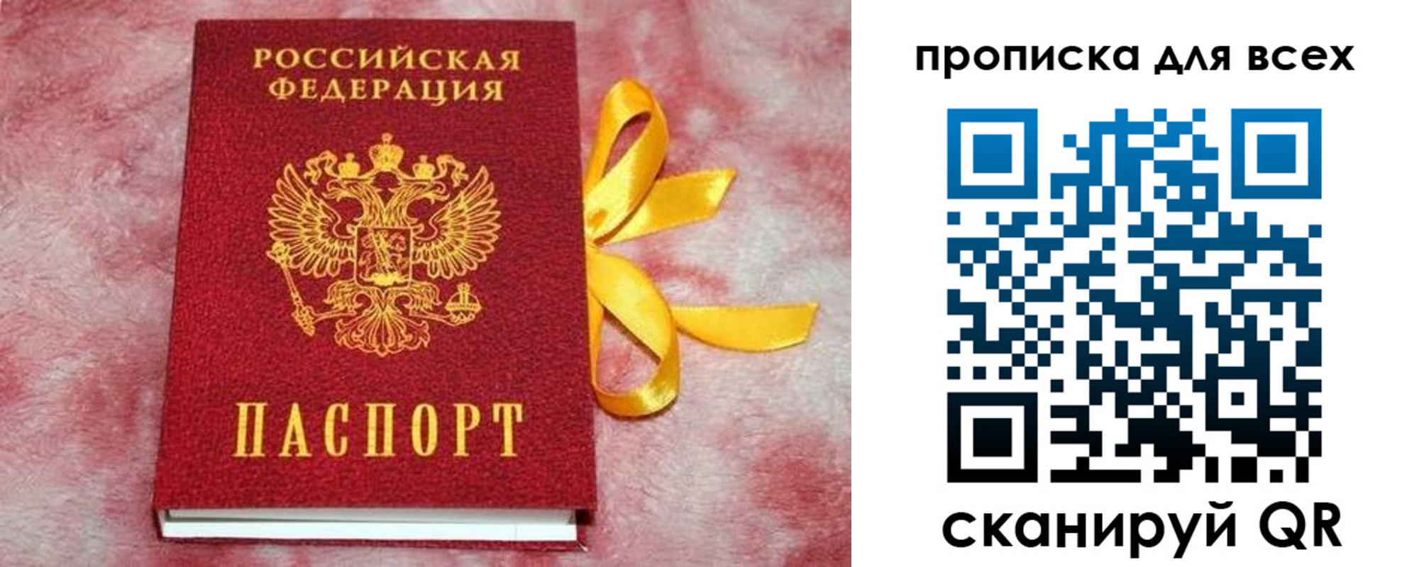 прописка для школы в Волгограде